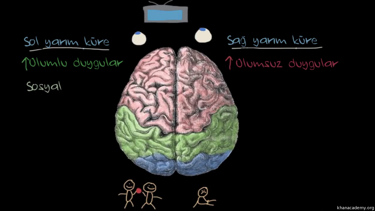 İnsan Beyni EEG İnsan Beyni EEG