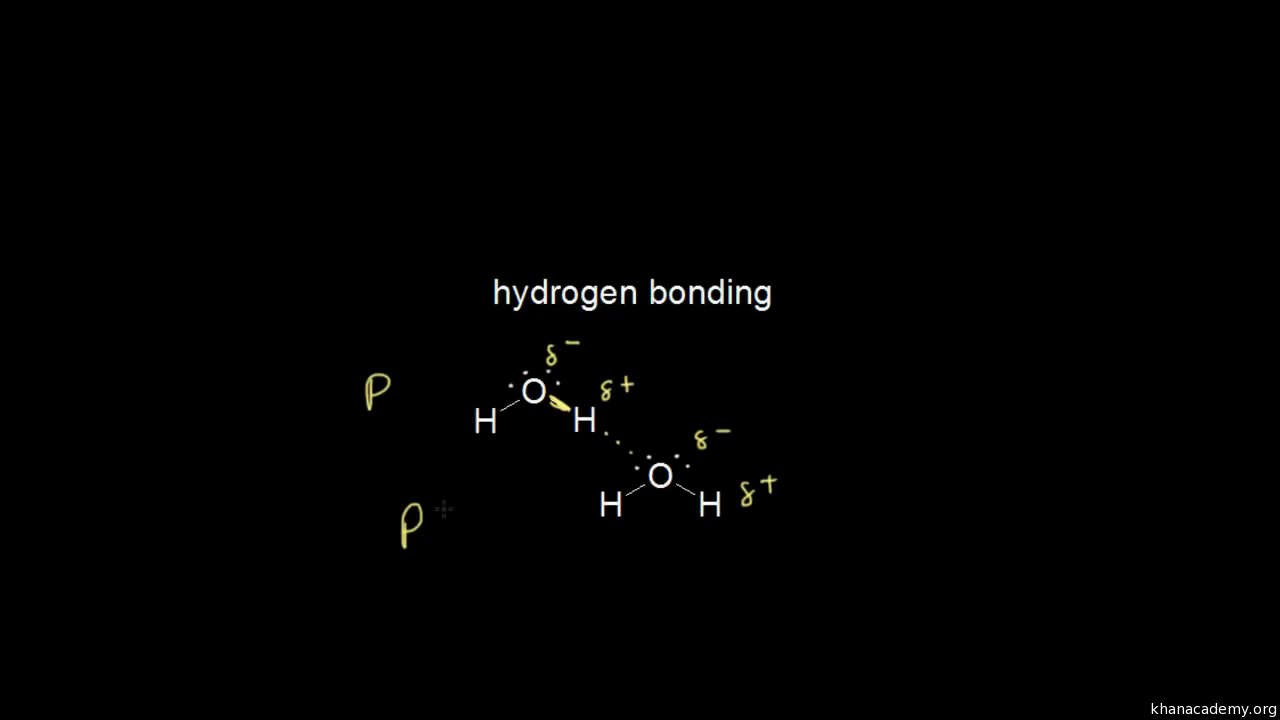 How many covalent bonds can hydrogen form?