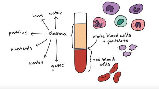 plasma diagram