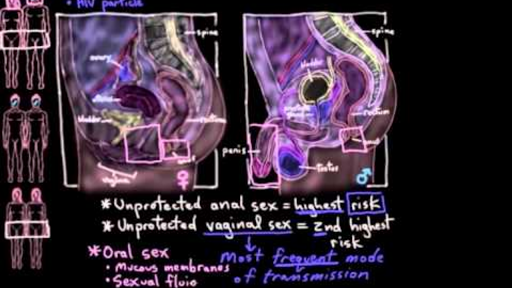 How long can HIV survive outside the human body?