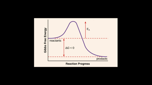 Activation Energy Article Khan Academy