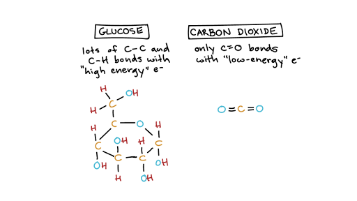 Introduction To Cellular Respiration And Redox Article Khan Academy