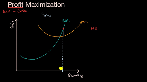 marginal cost curve profit maximization