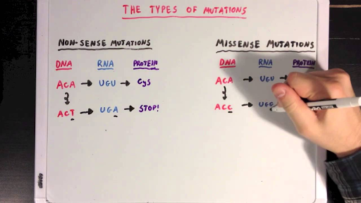 genetic mutation types