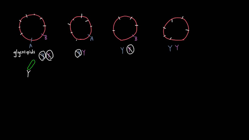 Introduction to Blood Types