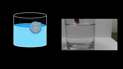 Surface Tension And Adhesion Video Khan Academy