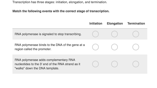 Transcription Practice Khan Academy