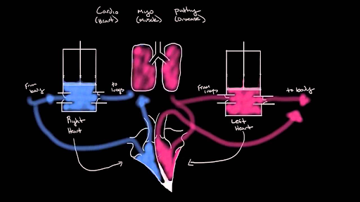 What is cardiomyopathy?