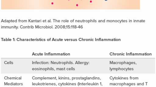 Acute Inflammation Vs Chronic Inflammation Table