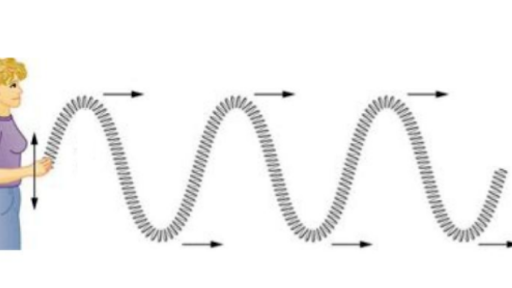 Transverse and longitudinal waves review (article) | Khan ...