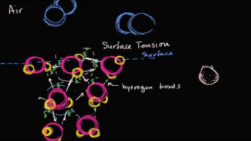 Cohesion Adhesion And Surface Tension Practice Khan Academy