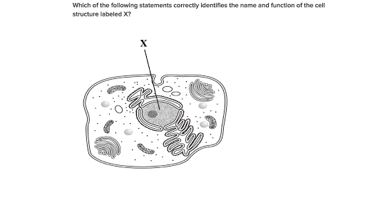 Structure Of A Cell Biology Library Science Khan Academy