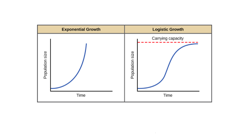 Exponential Growth Logistic Growth Article Khan Academy