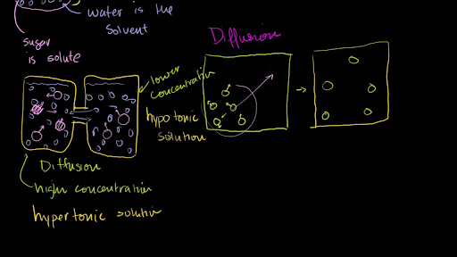 Diffusion And Osmosis Video Khan Academy