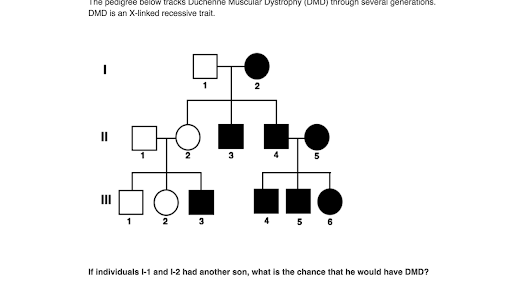 Pedigrees Practice Classical Genetics Khan Academy