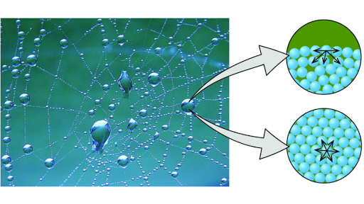 water cohesion diagram