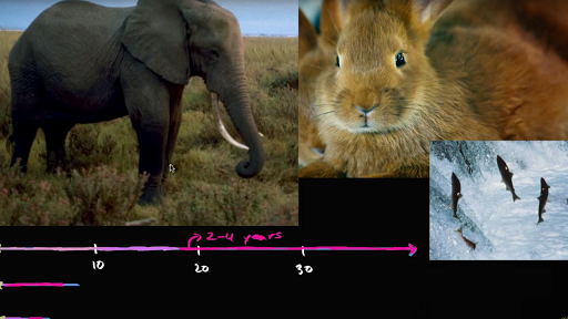 Khan Academy