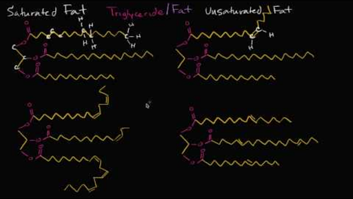 triglycerides saturated and unsaturated