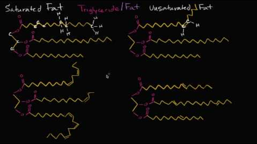 polyunsaturated fat vs trans fat