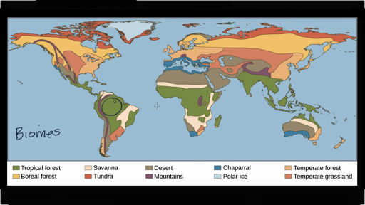 wetlands biome map