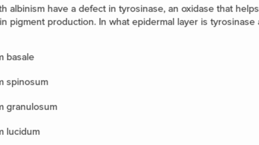 Integumentary System Questions Practice Khan Academy