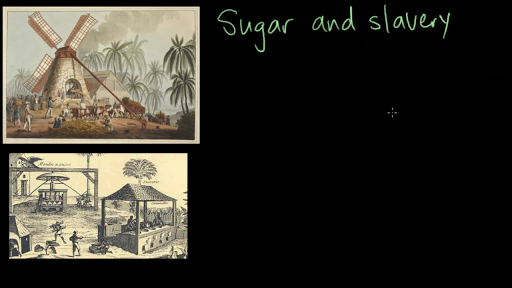 Why Did The Plantation System Develop In The Southern Colonies