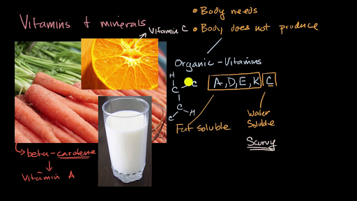 Introduction To Vitamins And Minerals