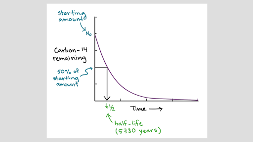 how long does carbon dating take