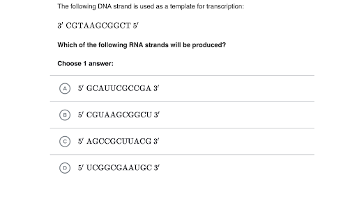 Transcription And Translation Practice Khan Academy