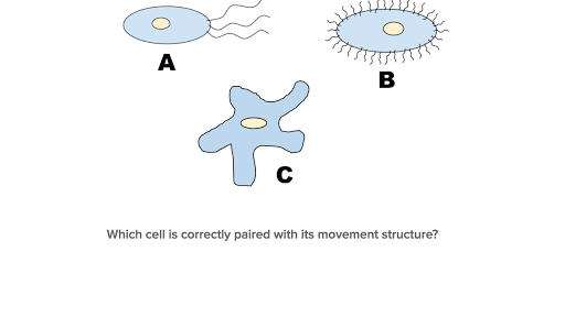 Cells | High school biology | Science | Khan Academy