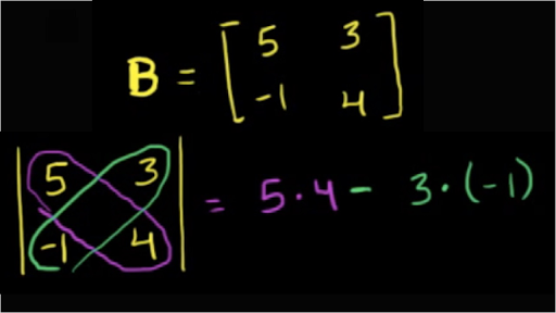 Find Your Size – DETERMINANT