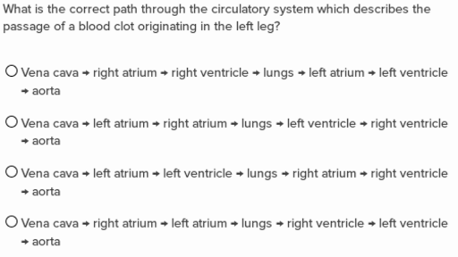 Circulatory system questions (practice) | Khan Academy