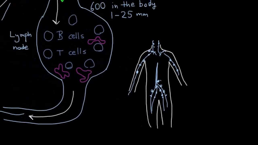 Peripheral vascular and lymphatics case study image
