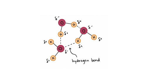 water molecule structure for kids