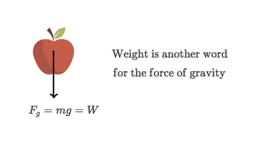 What Is Weight Article Khan Academy