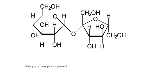 diagrams of carbohydrates