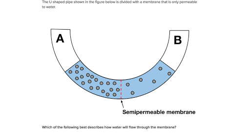 Osmosis And Diffusion Practice Worksheet Answers - Worksheet List