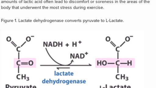 Lactate dehydrogenase and exhausted athletes (practice) - Khan Academy