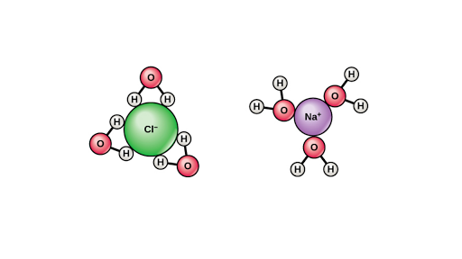 Solvent Properties Of Water Article Khan Academy