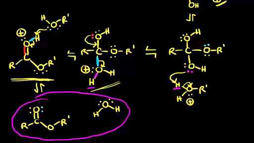 fischer esterification mechanism carboxylic acid