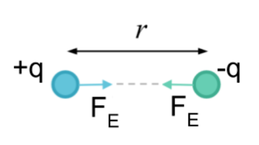 Coulomb S Law And Electric Force Review Article Khan Academy