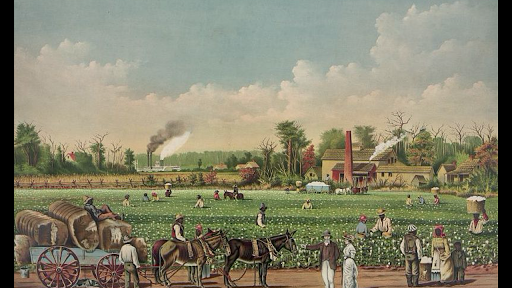 Freed Slaves 1862 Civil War Postcard Ginning Cotton on Confederate Plantation 