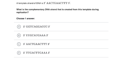 Dna Structure And Replication Practice Khan Academy