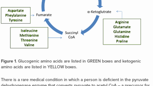 Glucogenic And Ketogenic Amino Acids Practice Khan Academy