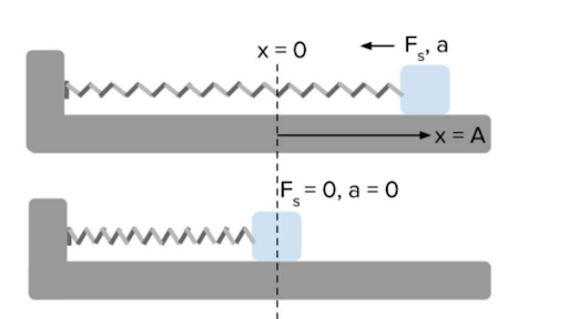 Introduction To Simple Harmonic Motion Review Article