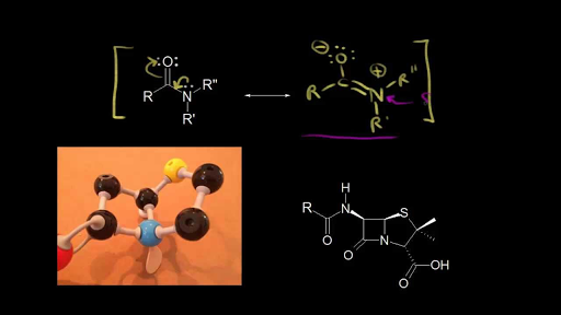 lactam hydrolysis