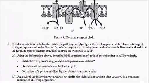 Past ap biology essay