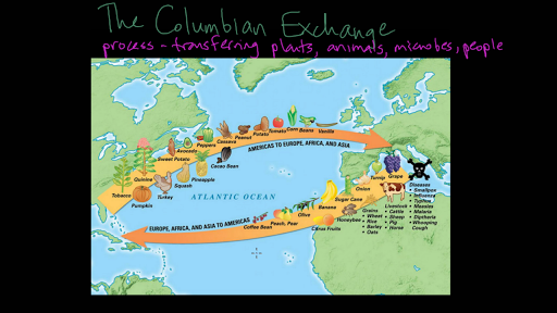 32+ Columbian Exchange Ap World History Pictures