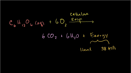 Oxidation And Reduction In Cellular Respiration Video Khan Academy