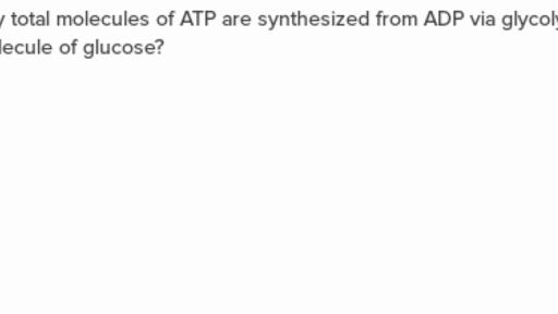 Multiple Choice Questions Blackboard Help